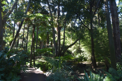 Royal Botanic Garden
